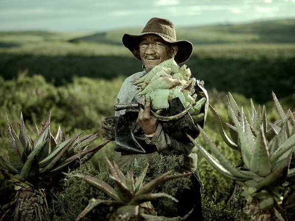 Photograph Christof Van Der Walt Aalwyntapper on One Eyeland